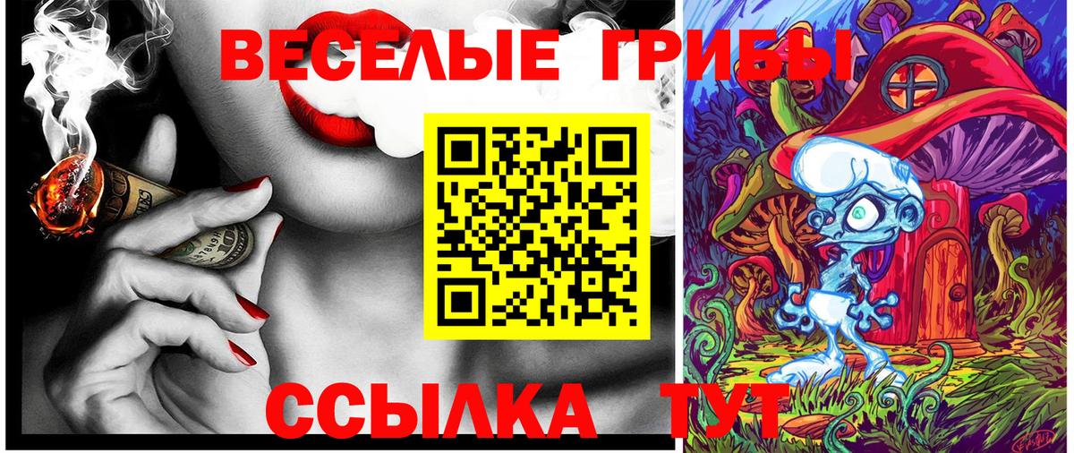 Псилоцибиновые грибы Cubensis Балаково